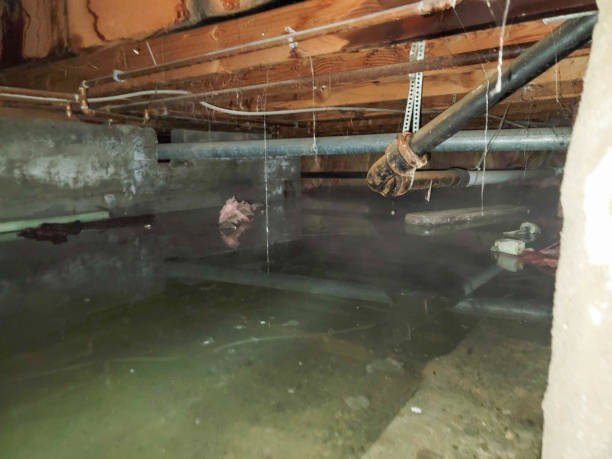 Best Residential water damage restoration  in Inesville, GA