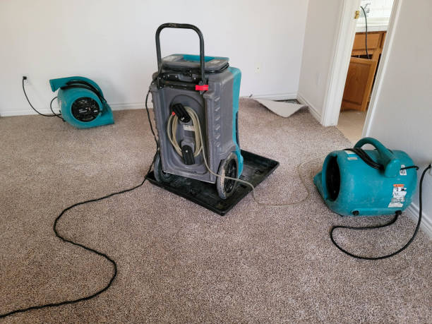 Best Carpet water damage restoration  in Inesville, GA