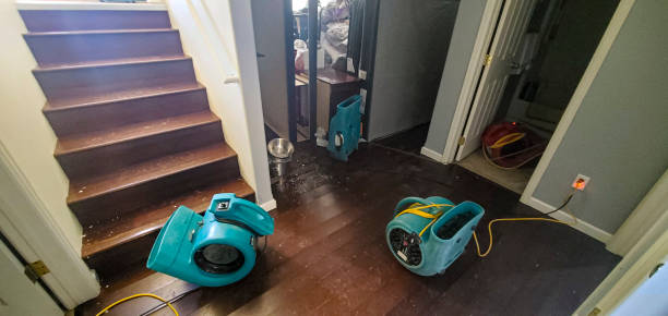 Best Water damage restoration near me  in Inesville, GA