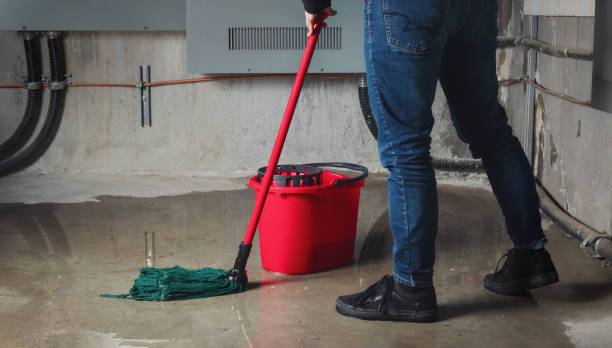 Best Residential water damage restoration  in Inesville, GA