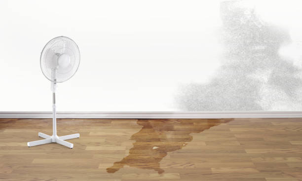 Best 24/7 water damage repair  in Inesville, GA