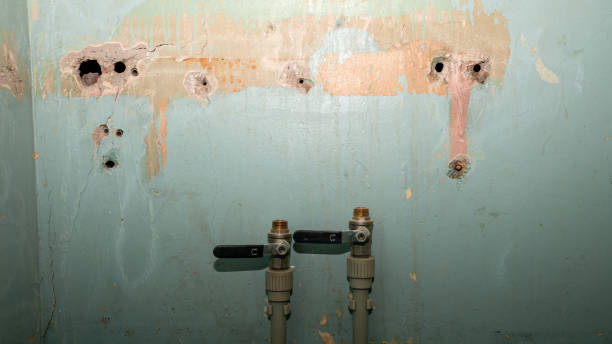 Best Ceiling water damage repair  in Inesville, GA