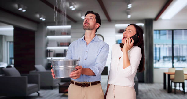 Best Water damage restoration near me  in Inesville, GA