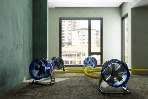 Best Commercial water damage restoration  in Inesville, GA