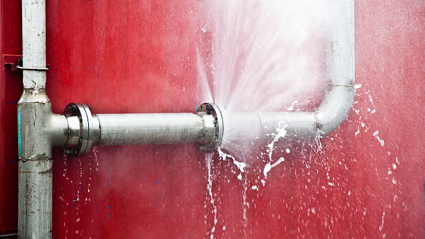 Best Water damage restoration insurance claims  in Inesville, GA