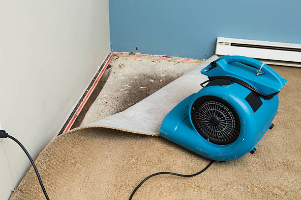 Best Flooded house restoration  in Inesville, GA
